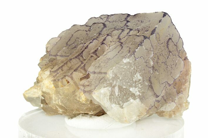 Purple Edge Fluorite Crystal Cluster - Qinglong Mine, China #255748